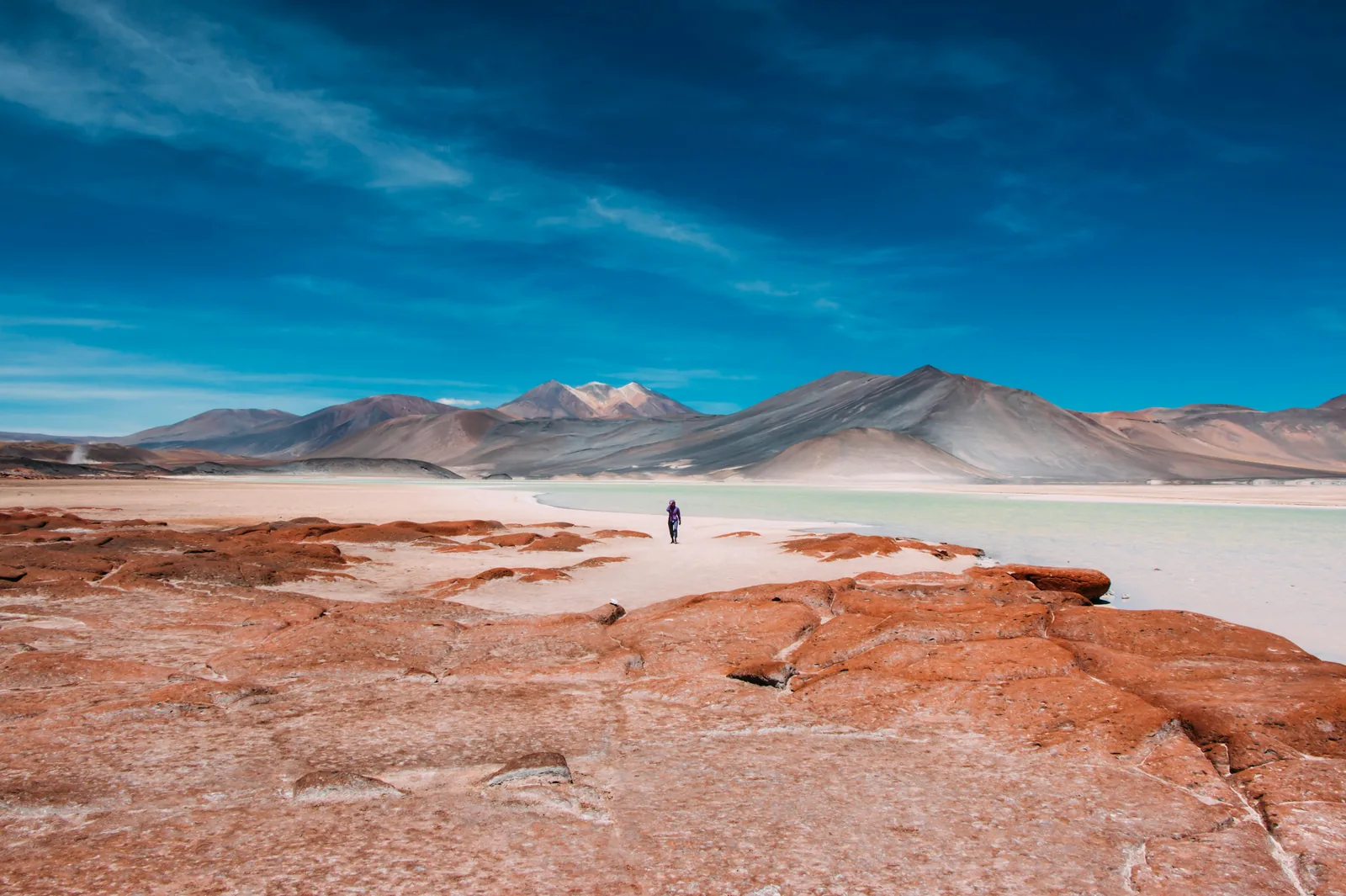 Salar de Atacama, Lagunas Altiplánicas y Piedras Rojas
