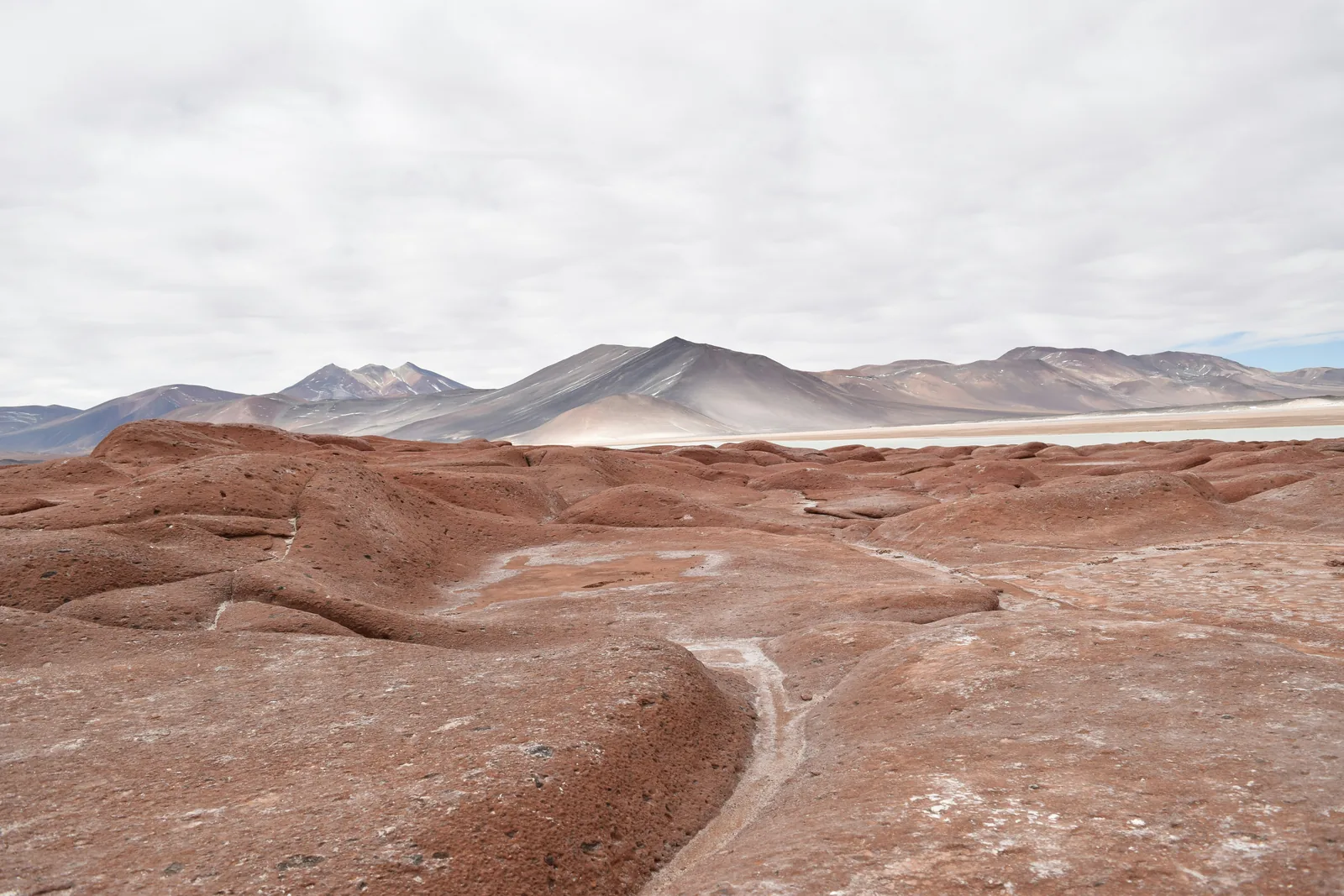 Salar de Atacama, Lagunas Altiplánicas y Piedras Rojas