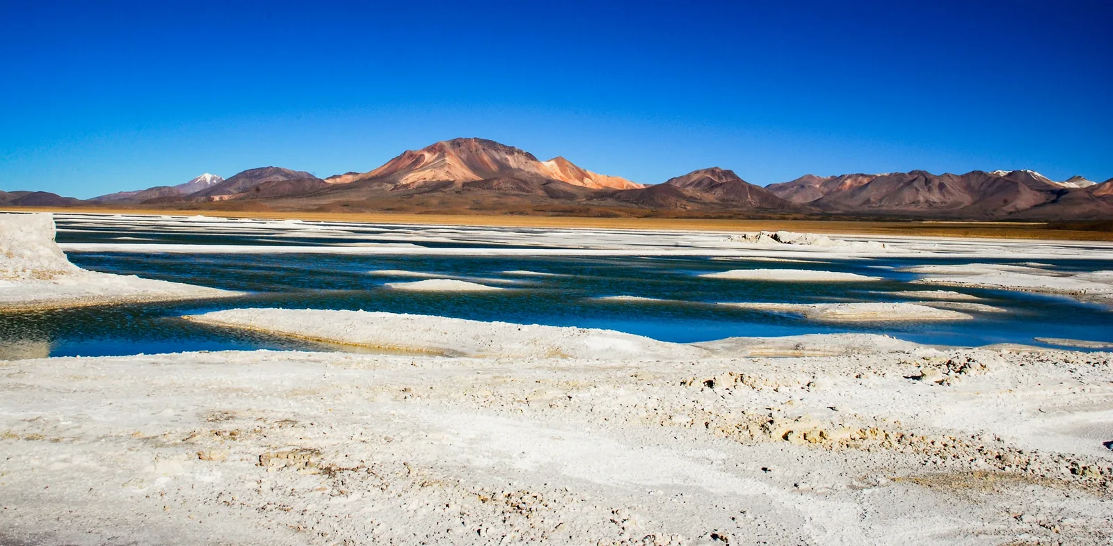 Salar de Atacama, Lagunas Altiplánicas y Piedras Rojas