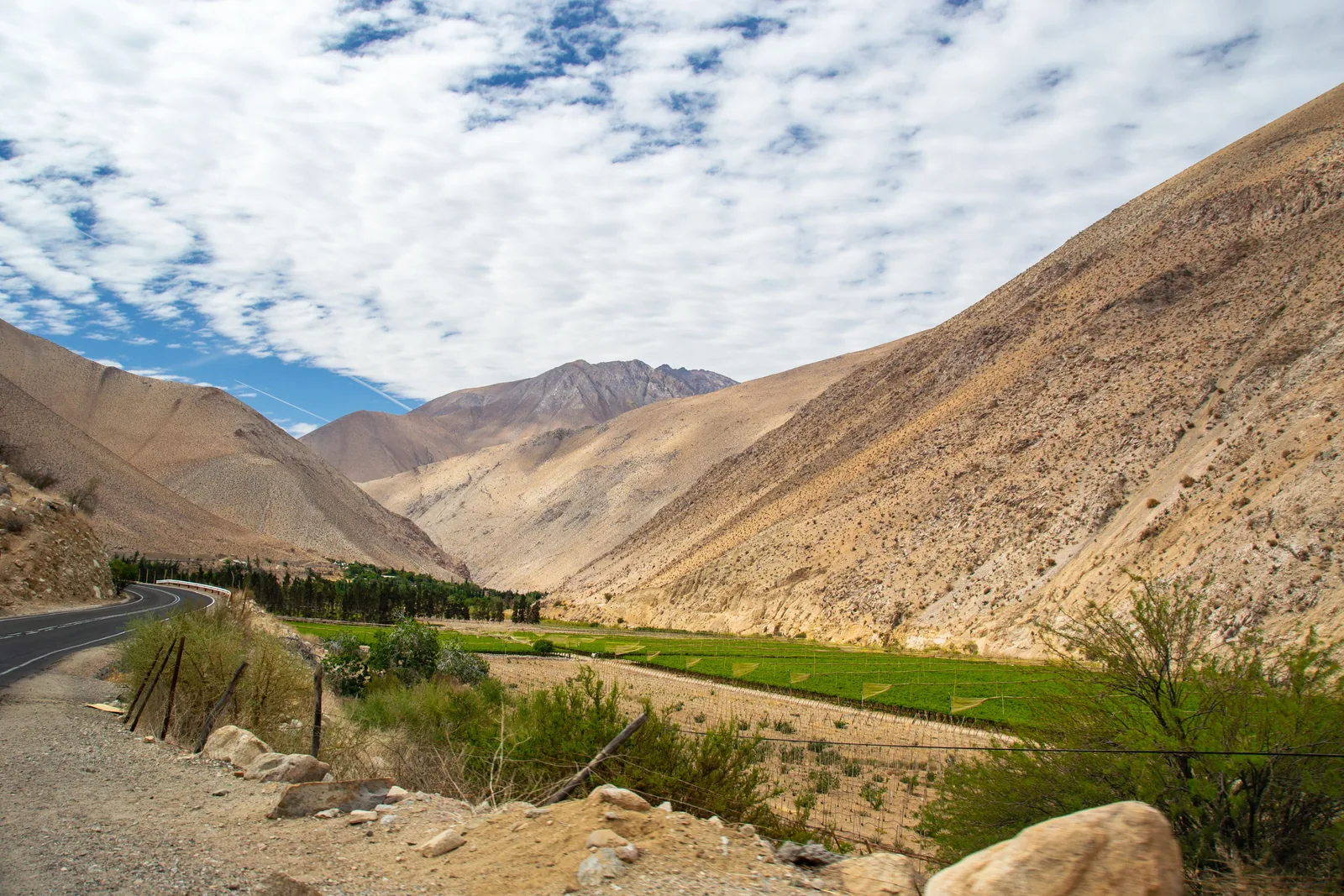 Recorriendo el Valle del Elqui